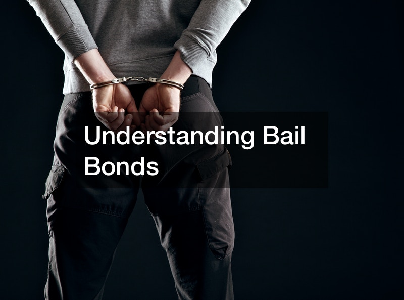 Understanding Bail Bonds